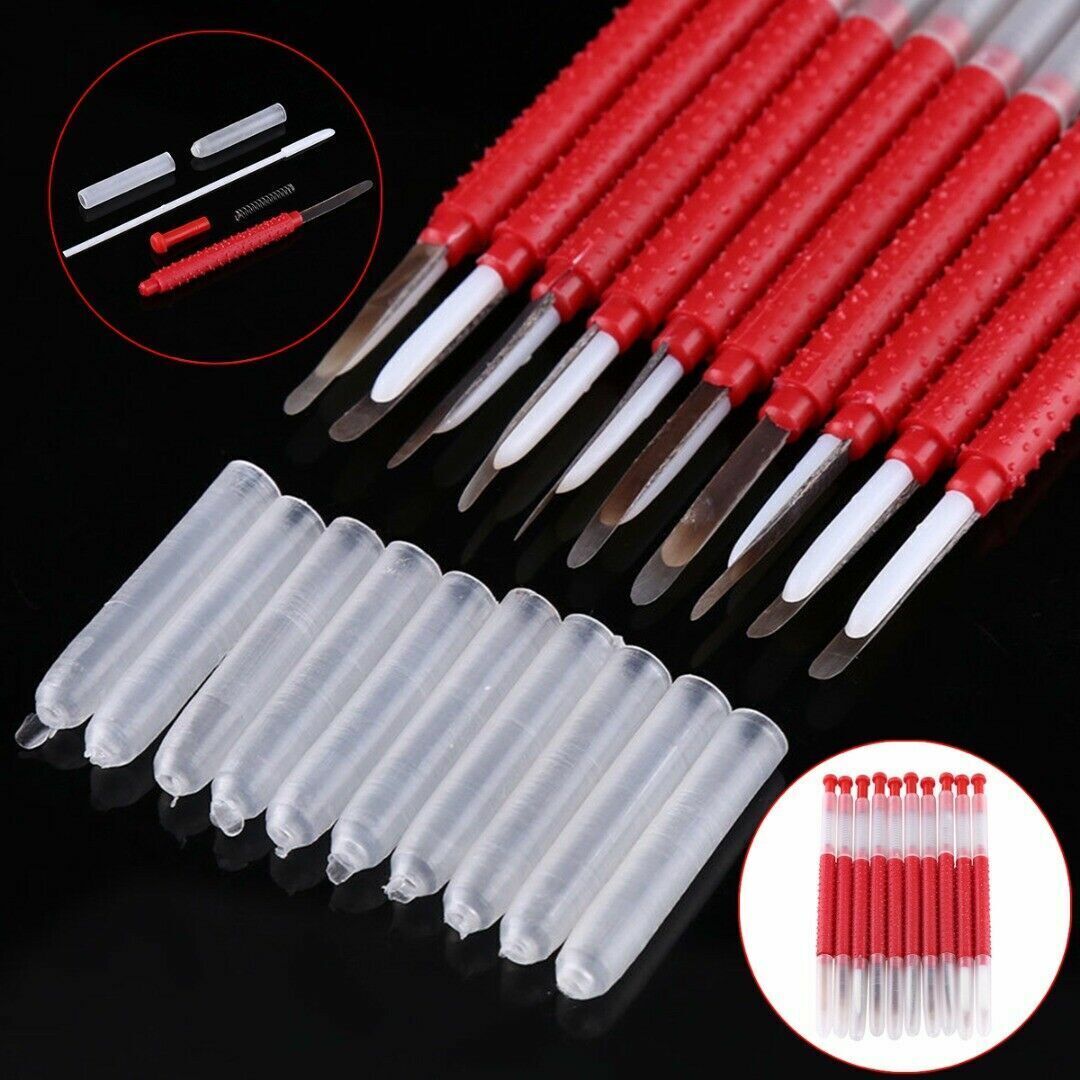 10Pcs Beekeeping Queen Rearing Grafting Tools Beekeeper Bee Hive Retractable Kit