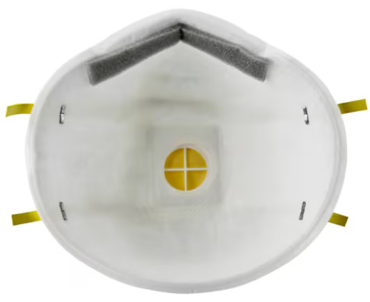 3M™ Particulate Respirator 8210V, N95 (10/pk)