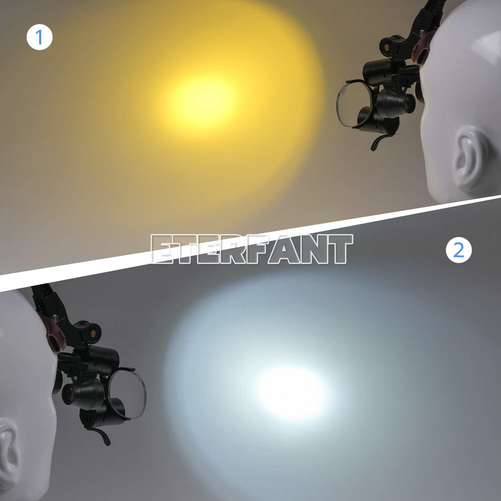 ETERFANT Dental 3.5X Surgical Headband Binocular Loupes+5W LED Head Light 2 Leds