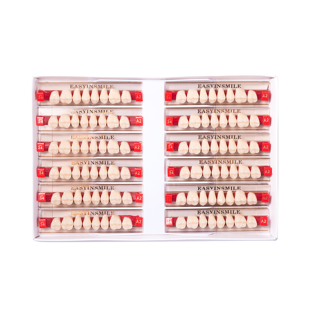 Dental Acrylic Resin Denture Teeth False DIY Full Set Anterior Posterior A1A2A3