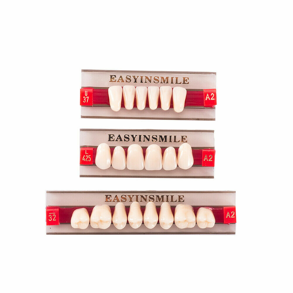 Dental Acrylic Resin Denture False Teeth Anterior DIY Lab A1/A2/A3 U/LFull size