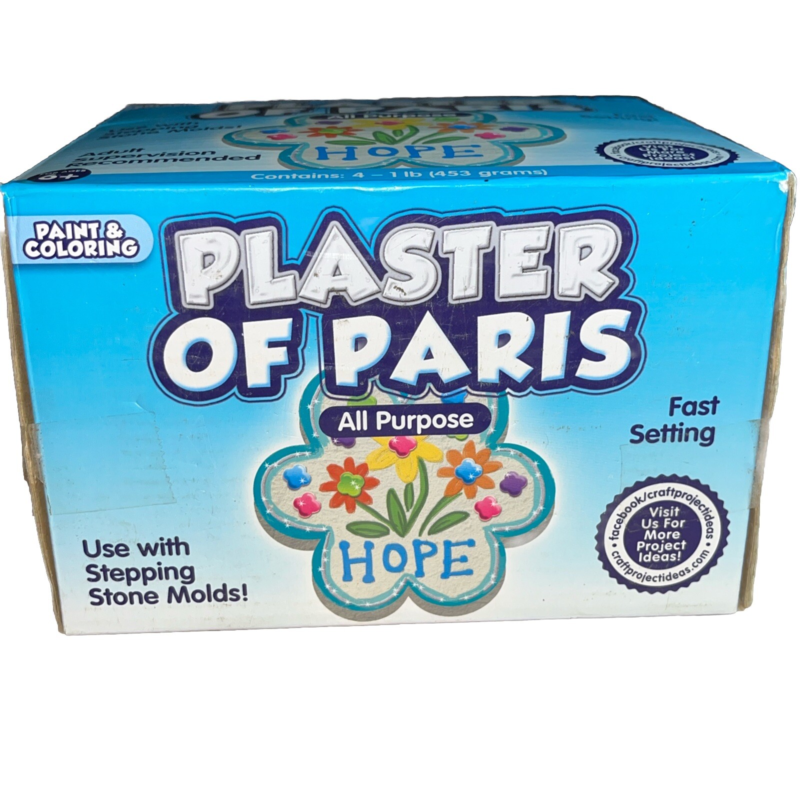 Plaster of Paris, ALL PURPOSE Sets In 20 To 30 Minutes – 4 Lbs Paint & Color