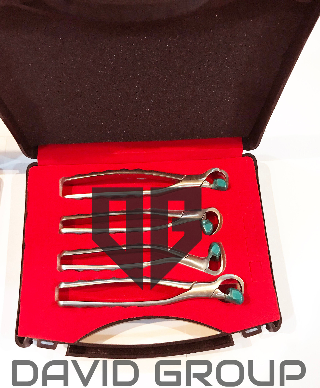 6 PCs Set Dental Physics Forceps Standard Series Plus Molar 100 BUMPERS Free