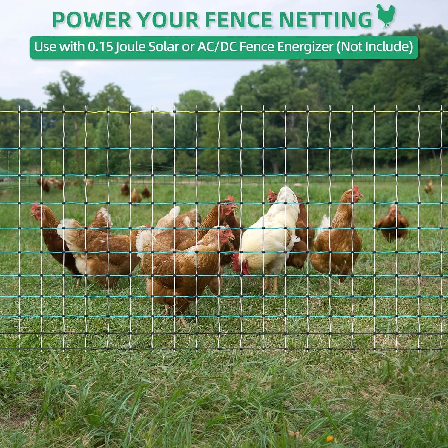 Updated Poultry Netting, Portable Electric Livestock Mesh Fence 47.5″ H x 168′ L