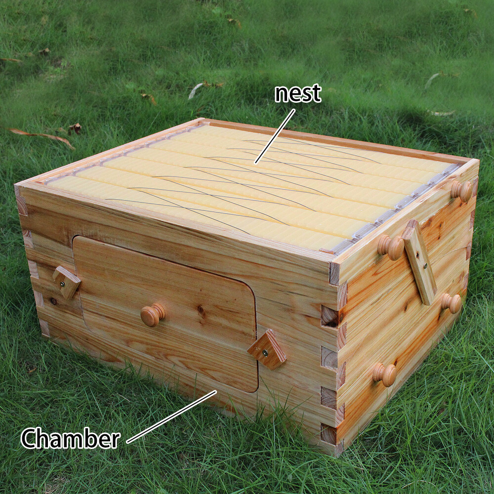 Auto Oozing Bee Hive with 7 Bee Frames Comb Bee Hive House Beekeeping Frames