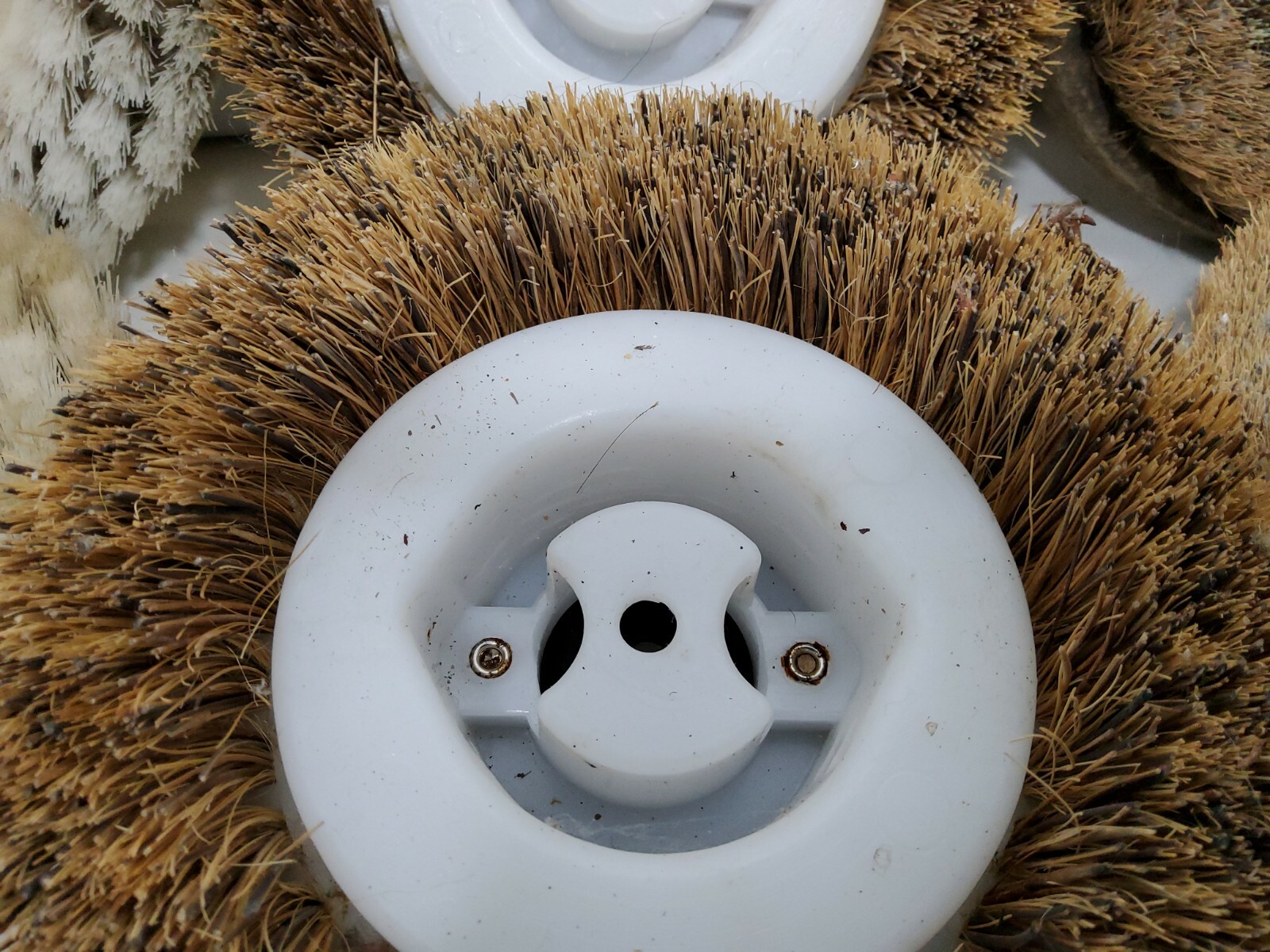 Very Used KOBLENZ P840 Polishing, Scrubbing Buffer Discs Very Used