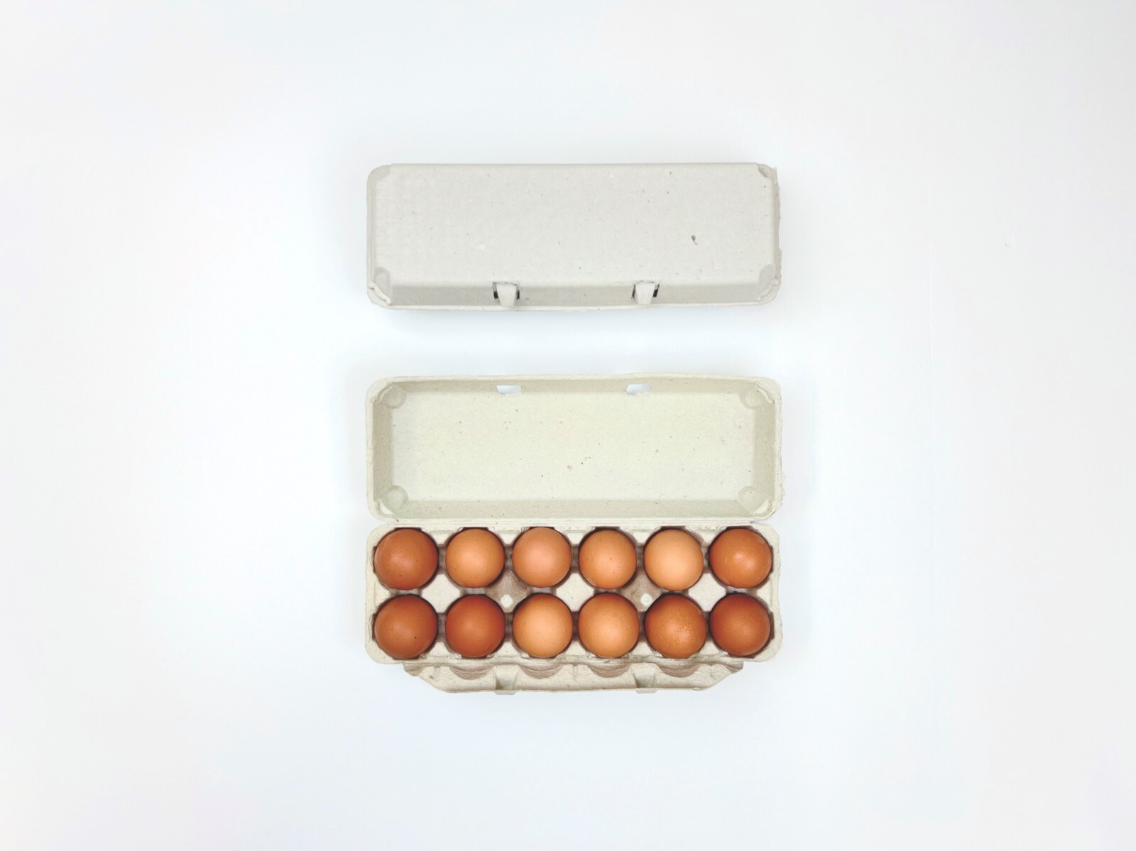 Non-Printed Egg Carton – 100 units