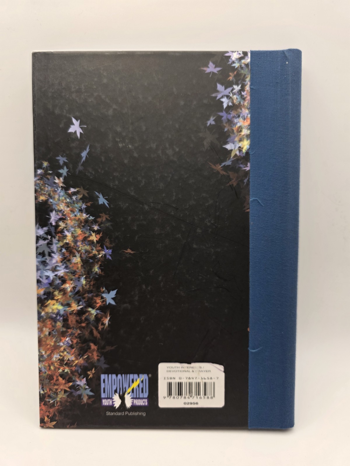 Canvas – RARE Lined Journal Blank Book New draw & Dream