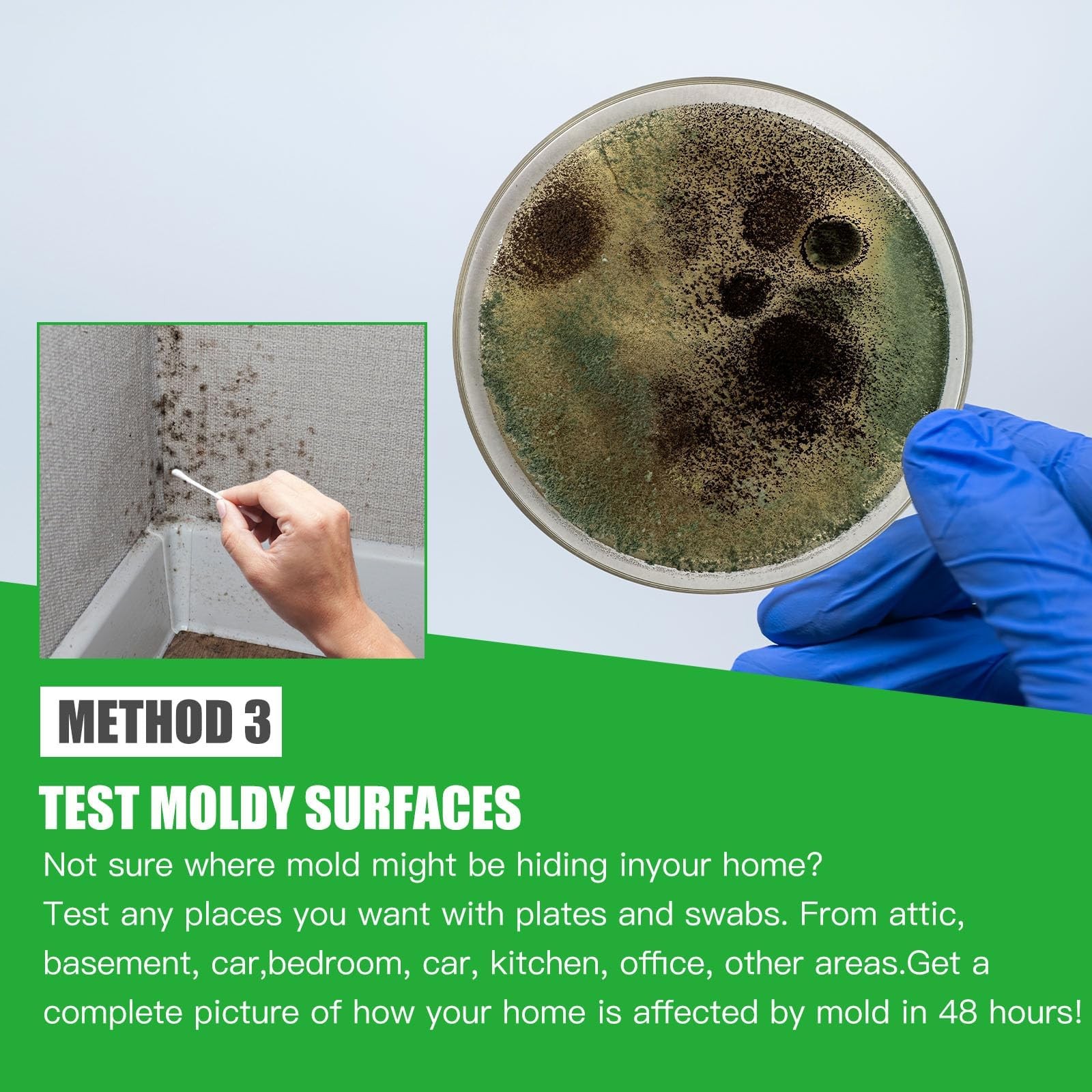 Mold Test Kit for Home Within 12 Individual Tests,DIY Detector at Home,…