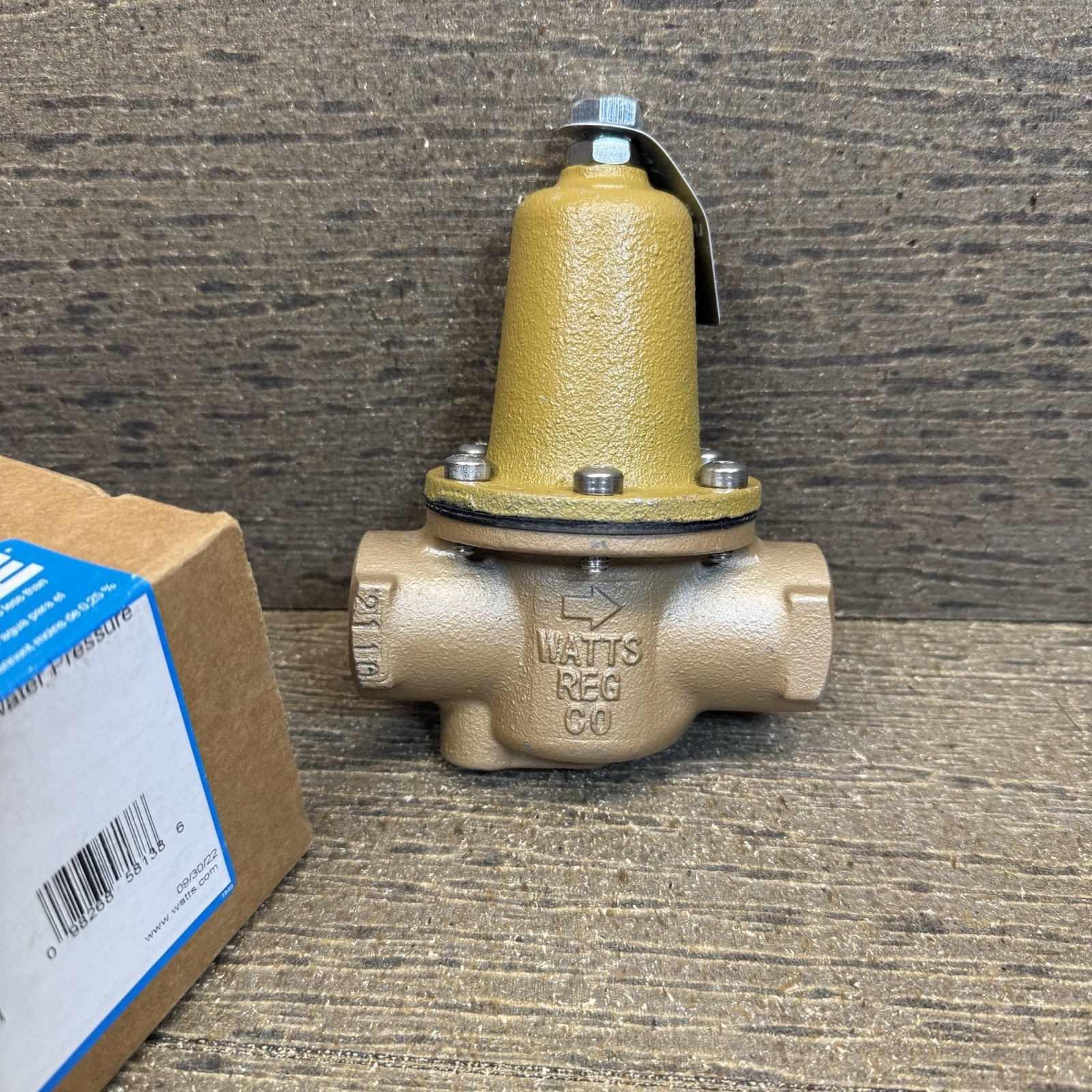 Watts 3/4 Iron Body Water Pressure Regulator Adjust 25-75 psi LFN250B-Z2-020