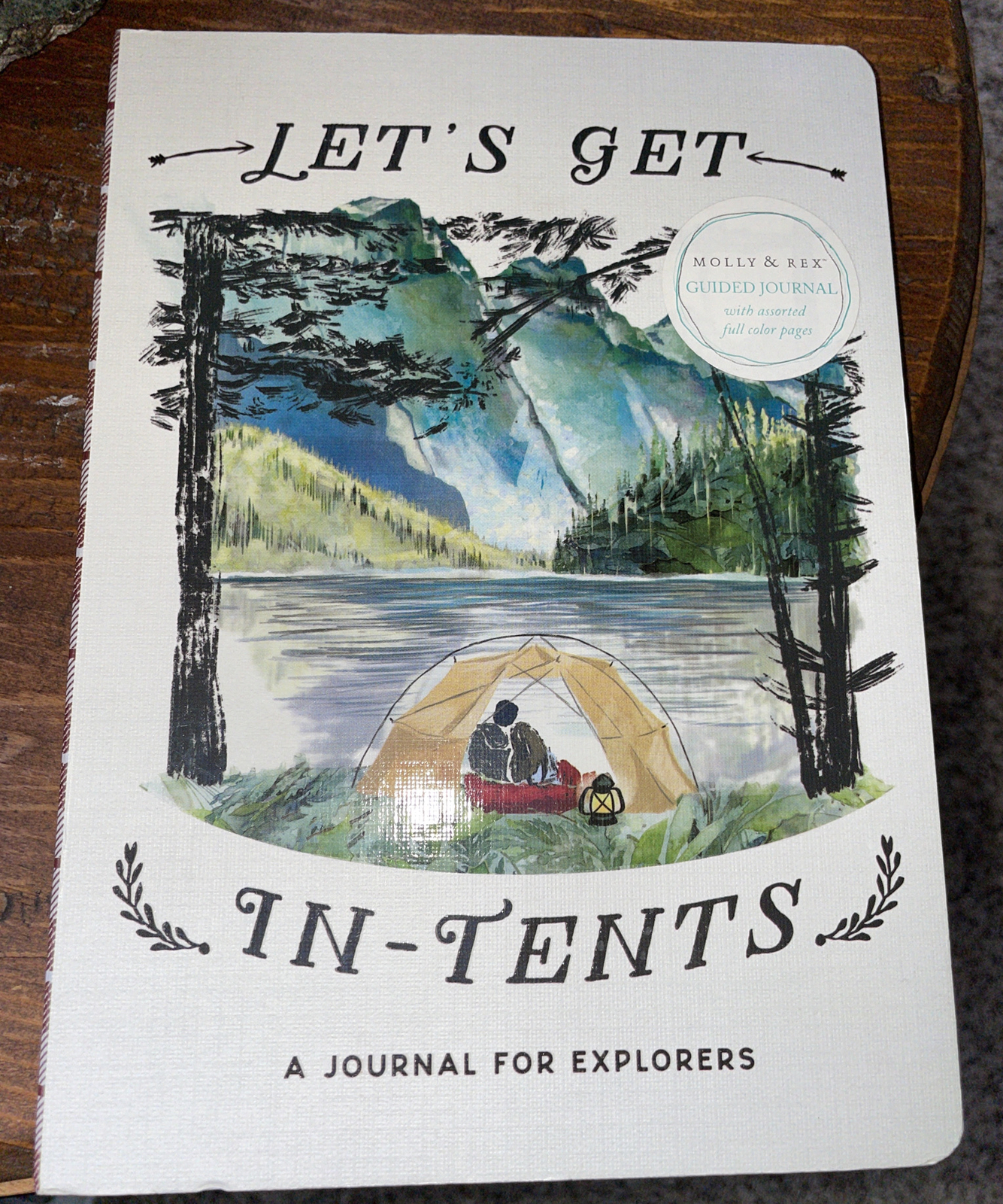 Punch Studio Molly & Rex Soft Cover Guided Journal – A Journal For Explorers