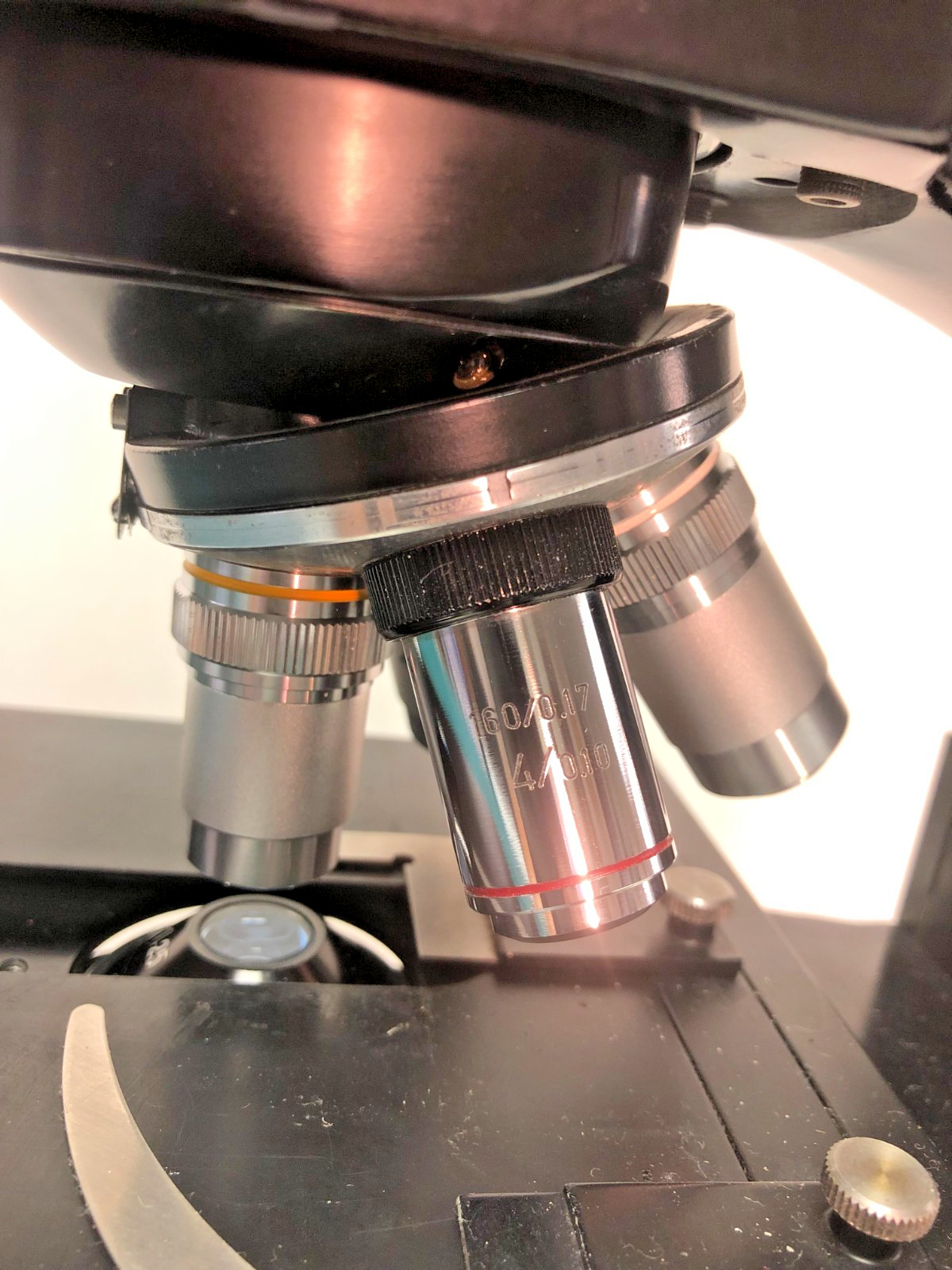 Bausch Biological Microscope, 4 Objectives (4x, 10x, 40x, 100X) Free Shipping!!!