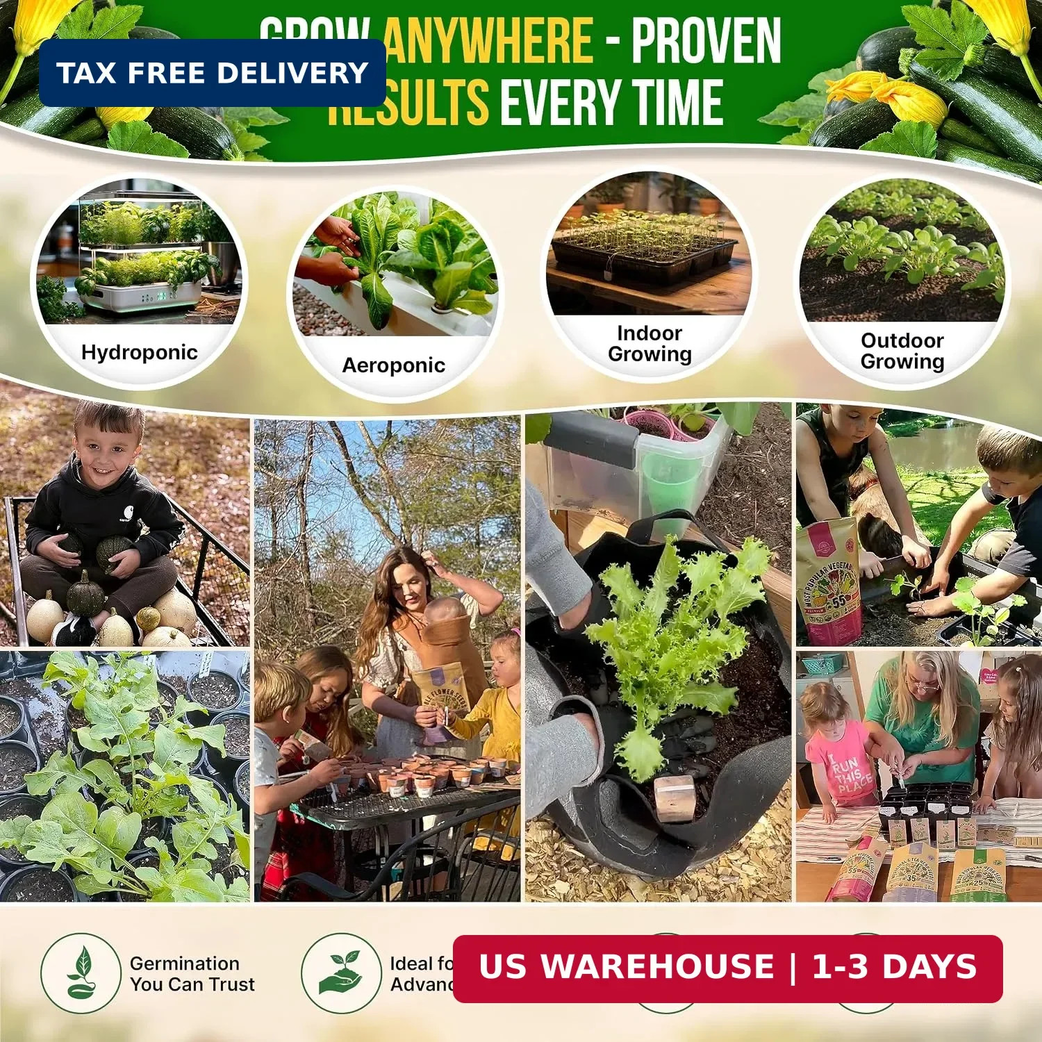 Organo Republic Dark Green Zucchini Seeds Pack 15 G – Over 150 Non-GMO Heirloom