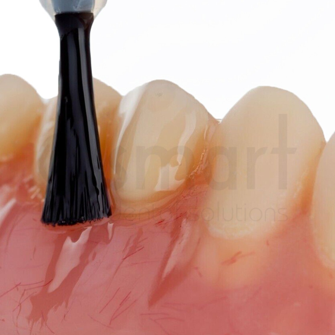 Dental Shine Seal Seal Glaze acrylic Denture teeth Composite Resin 14.8ml Israel