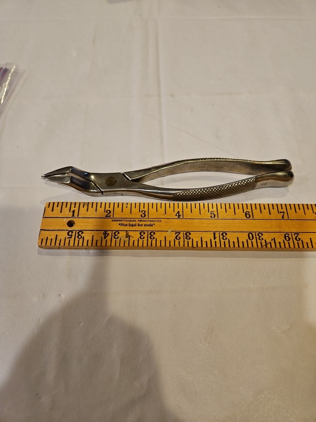 Silco Stainless Steel Dental Forceps #65