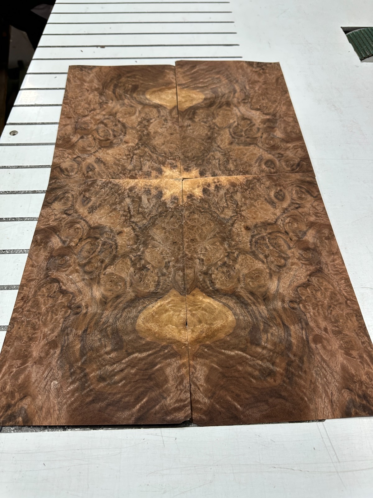 Walnut Burl Raw Wood Veneer 2 sheets 12» x 7» 319F