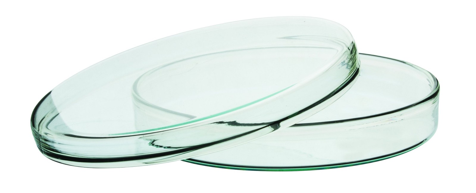 Petri Dish, 5.9″ (150mm) – Beaded Edges Easy to Sterilize for Repeated Use Bo…