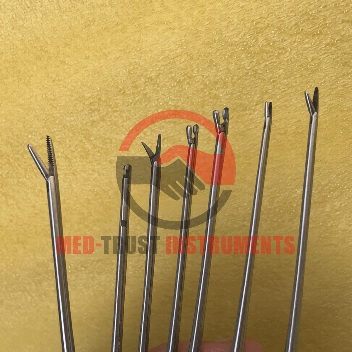 Tympanoplasty Instrument Set, Surgical Instruments Micro Ear Forceps Surgery Set