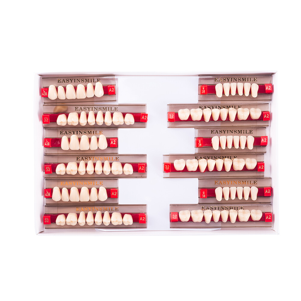 Dental Acrylic Resin Denture Teeth False DIY Full Set Anterior Posterior A1A2A3