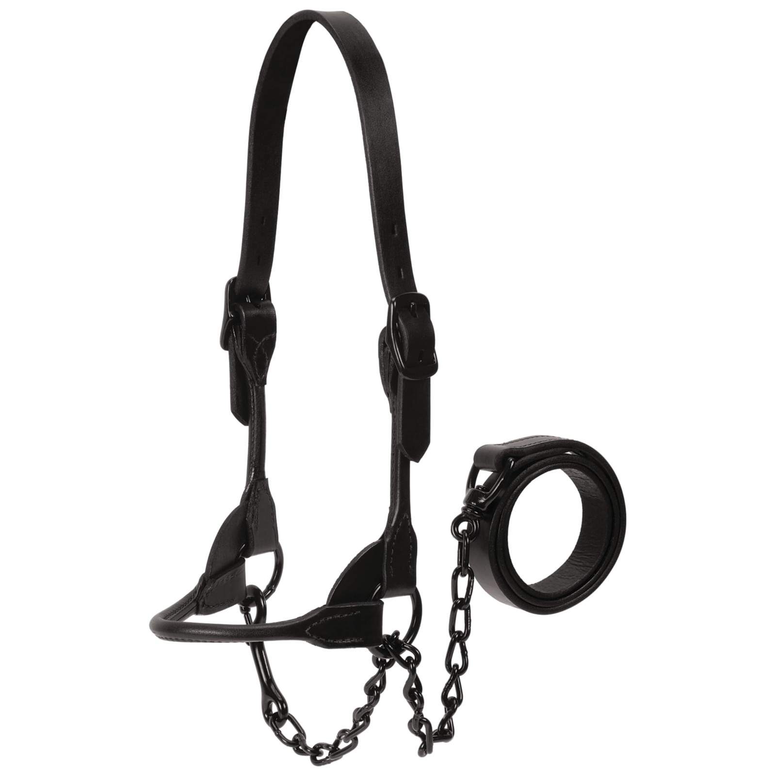 Weaver Livestock Leather Magic Show Cattle Halter, Adjustable, Modern Style C…