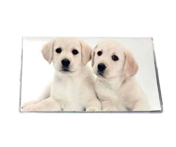 Style Choice * Dog * Puppy * 2 Year Pocket Calendar Planner 2025-2026 w Notepad