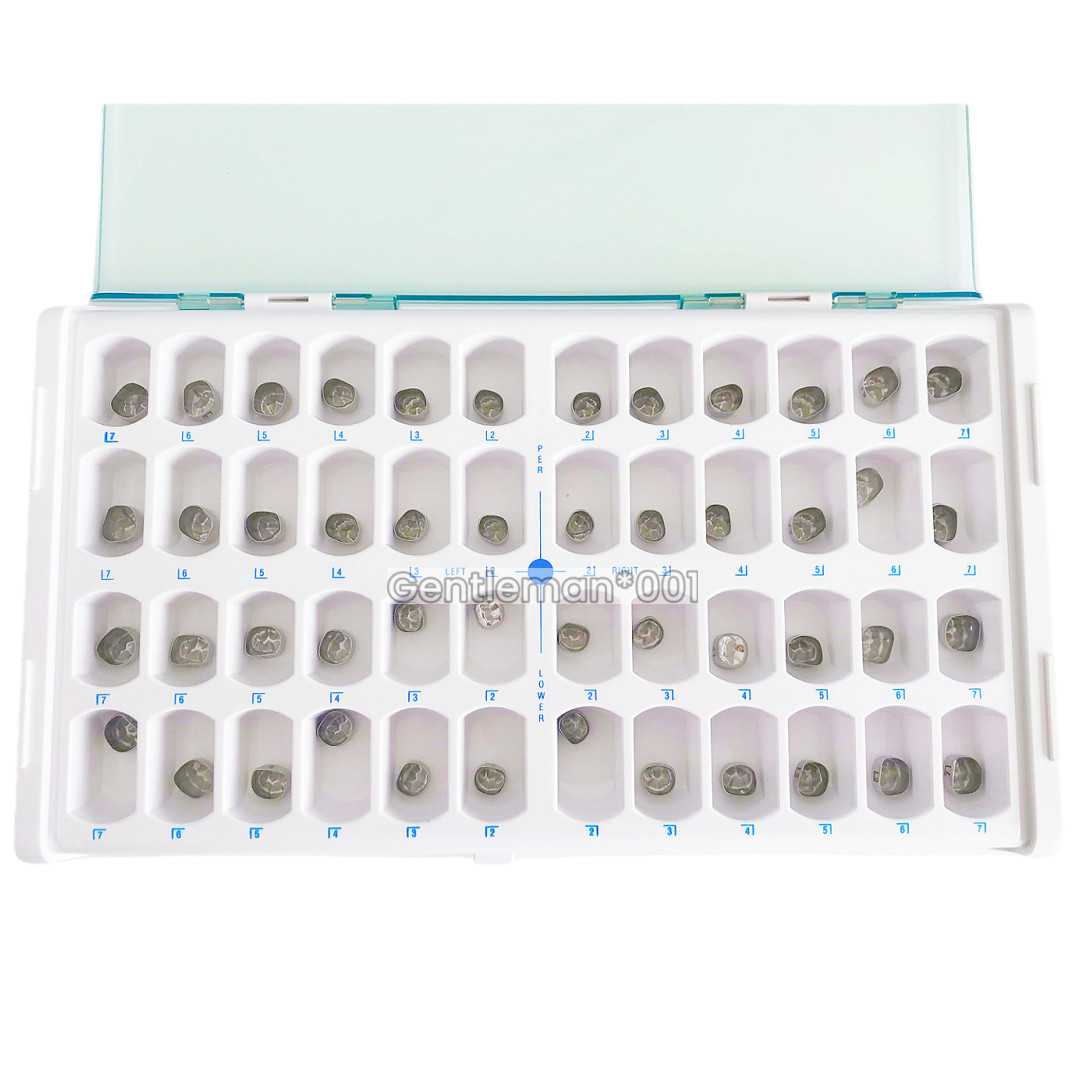 24Sizes Dental Primary Molar Teeth Crown Stainless Steel For Adult Temporary