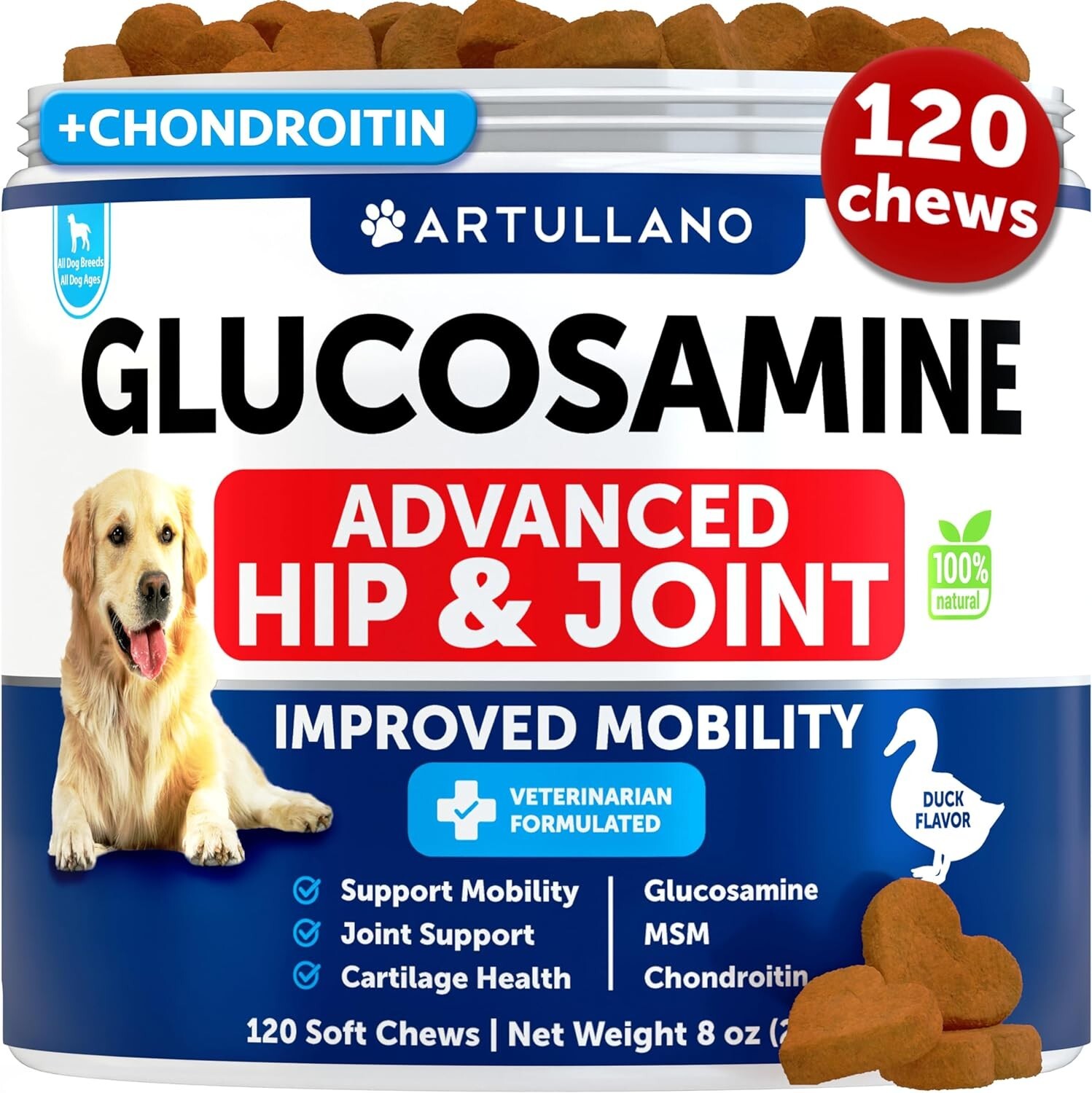 Advanced Hip and Joint Supplement for Dogs Joint Pain Relief with MSM