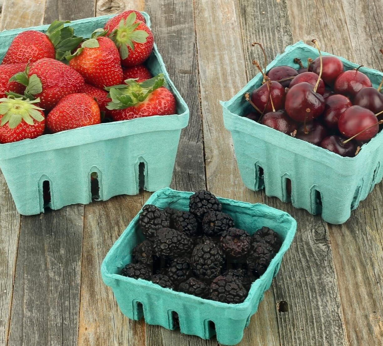 MT Products 1 Quart Green Pulp Vented Berry Produce Basket – Pack of 15