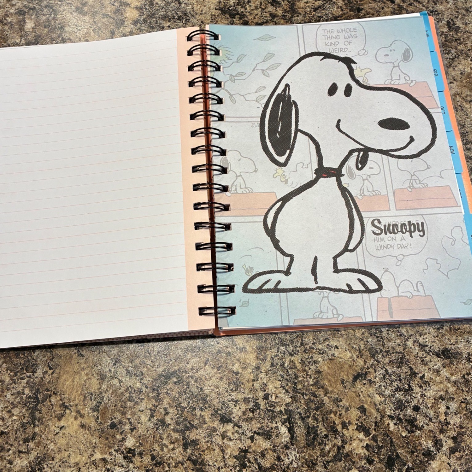 Vintage Peanuts Snoopy 2015 Weekly Monthly Planner Mead Spiral Organizer Pink
