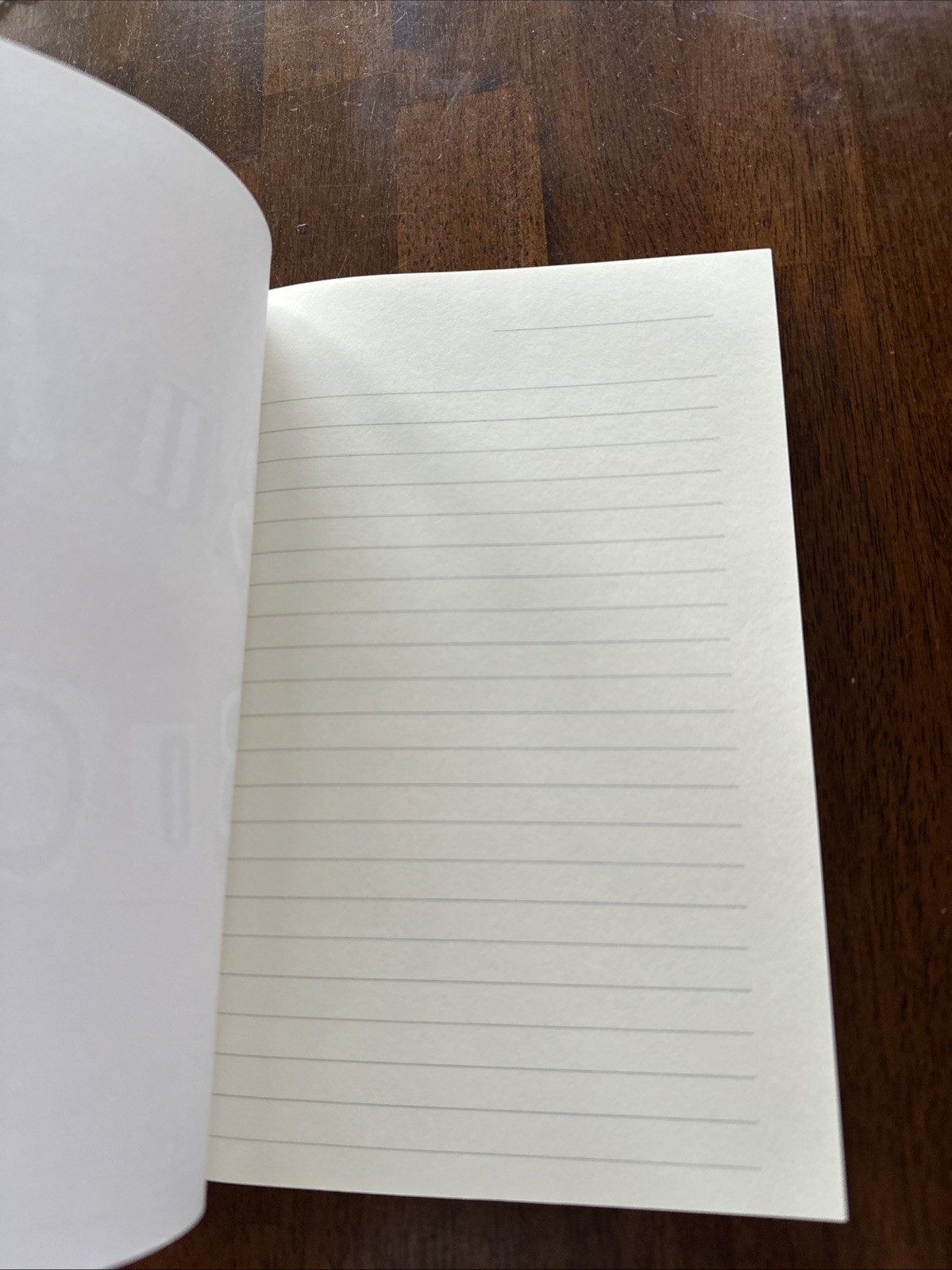 Mean Girls Burn Book Blank Journal – New