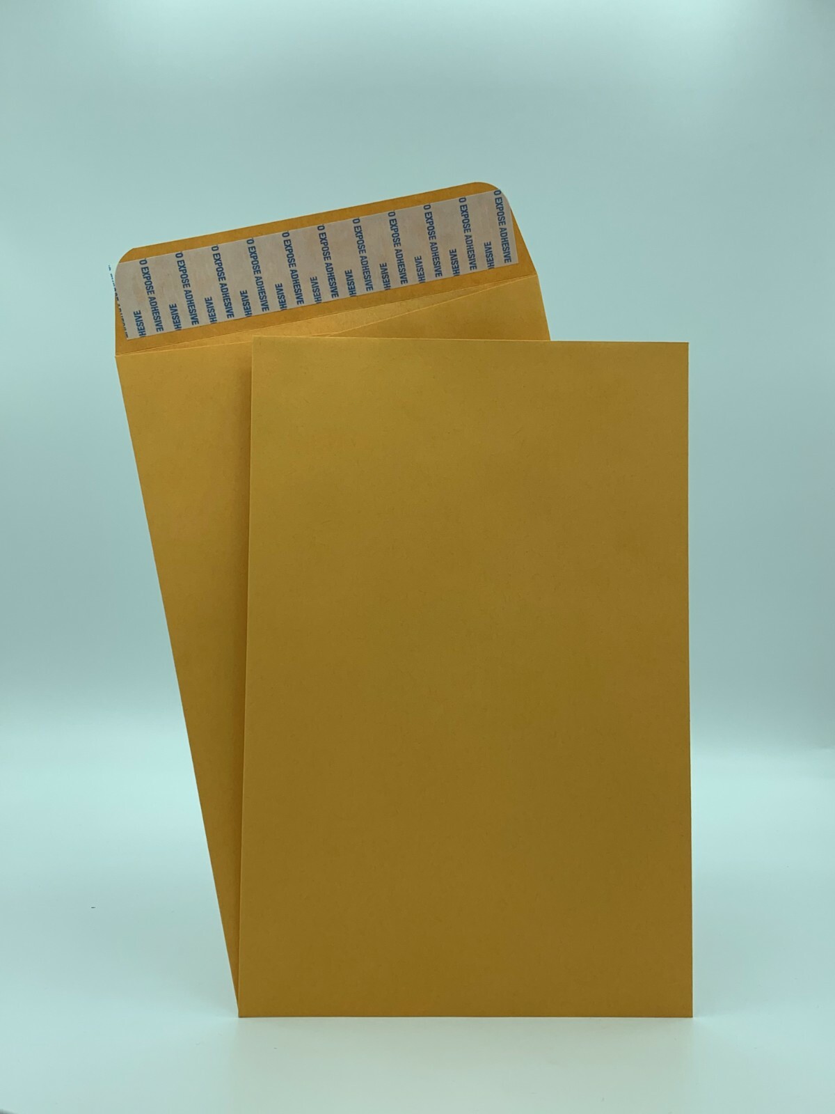 6″ x 9″ Catalog Envelopes, Sturdy 28lb. Kraft, Peel & Seal, 500/Box