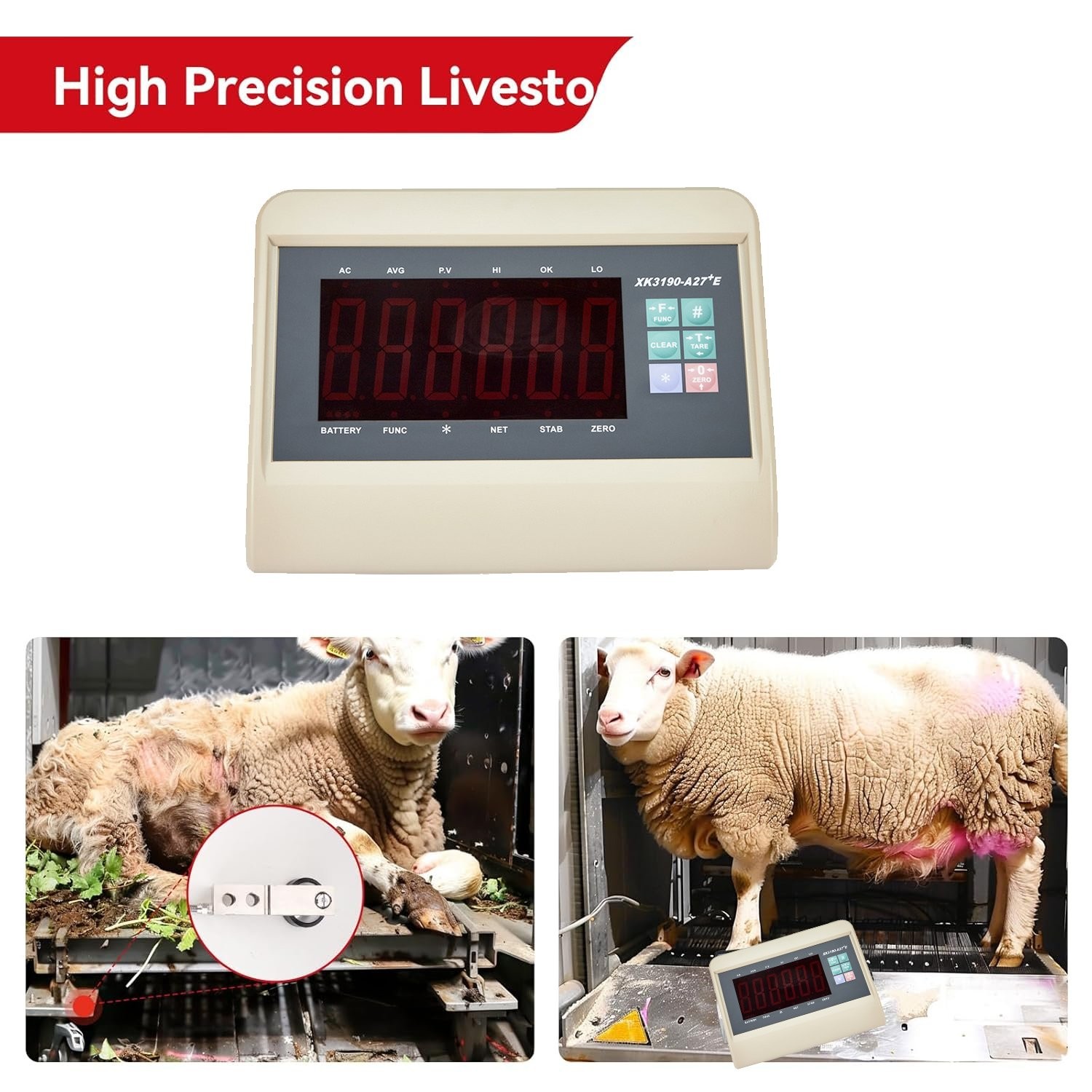 Livestock Scale 10000LBS capacity with High Precision Indicator Floor Scale kit