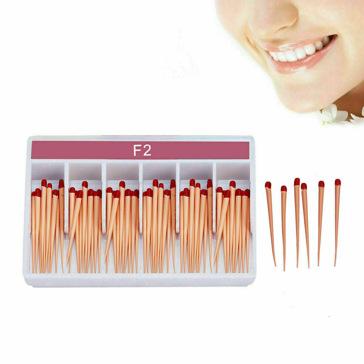 Dental Cordless Obturation System Endo Heated Pen / Gutta Percha Points F1F2F3