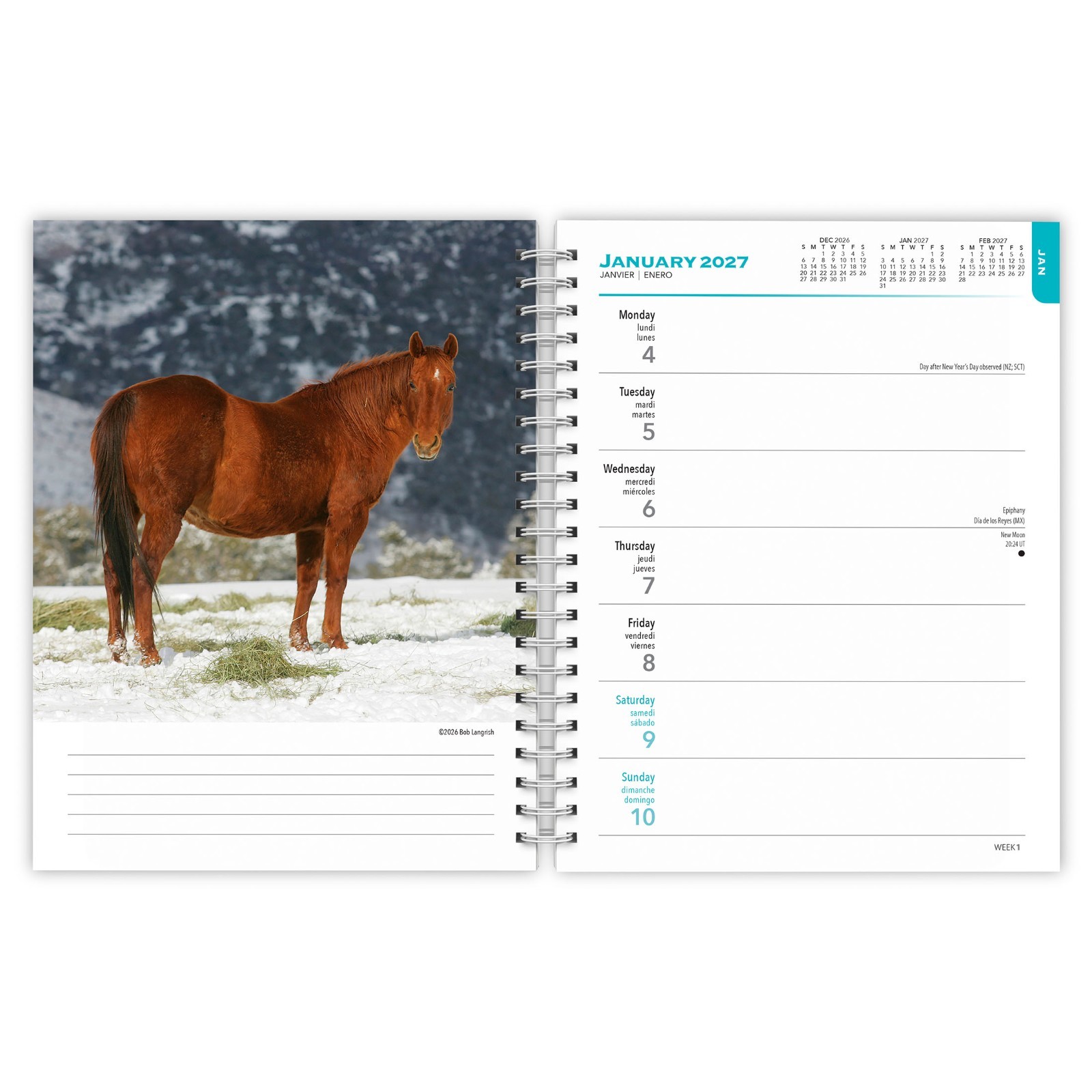 Horse Lovers | 2027 6×7.75″ Spiral-Bound Wire-O Engagement Planner Calendar