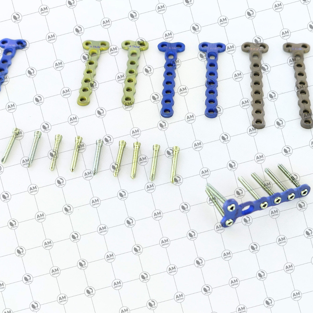 Veterinary 2.0mm Locking 2 Hole Head T Plates with Locking Screws 69 Pcs Set Ti
