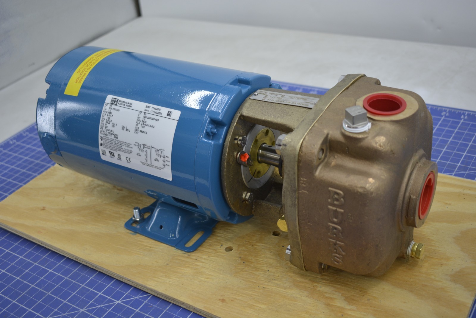 147790/ PUMP, TH FSHR 099123, 1HP, 50-60-3, 310CS5M-AB-03 HI TEMP/ BURKS PUMPS