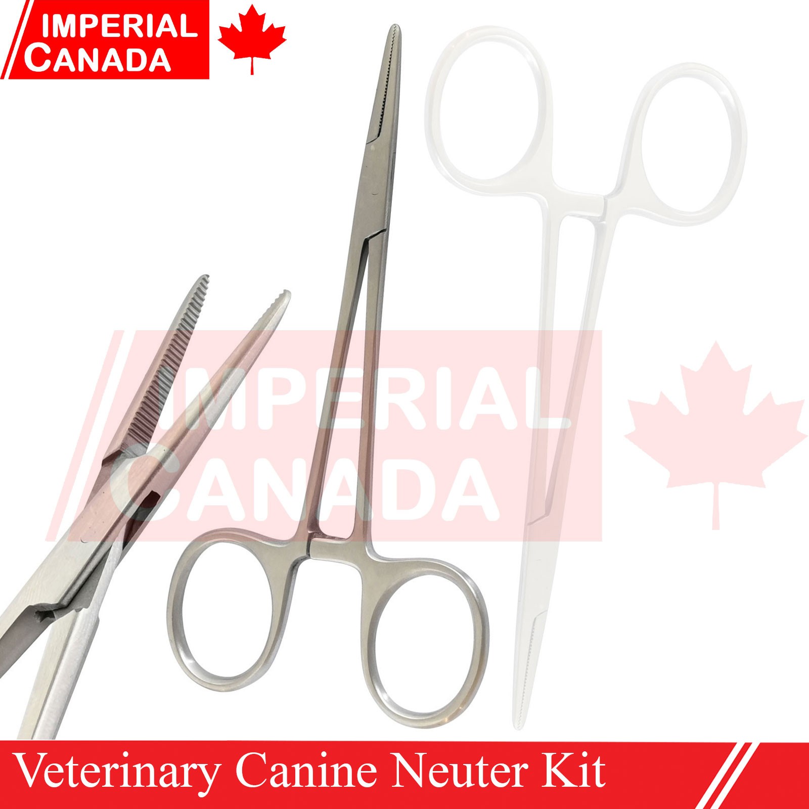 Feline Spay Pack Kit Contain Basic Surgery Instruments Set Surgical Econ DS-2240