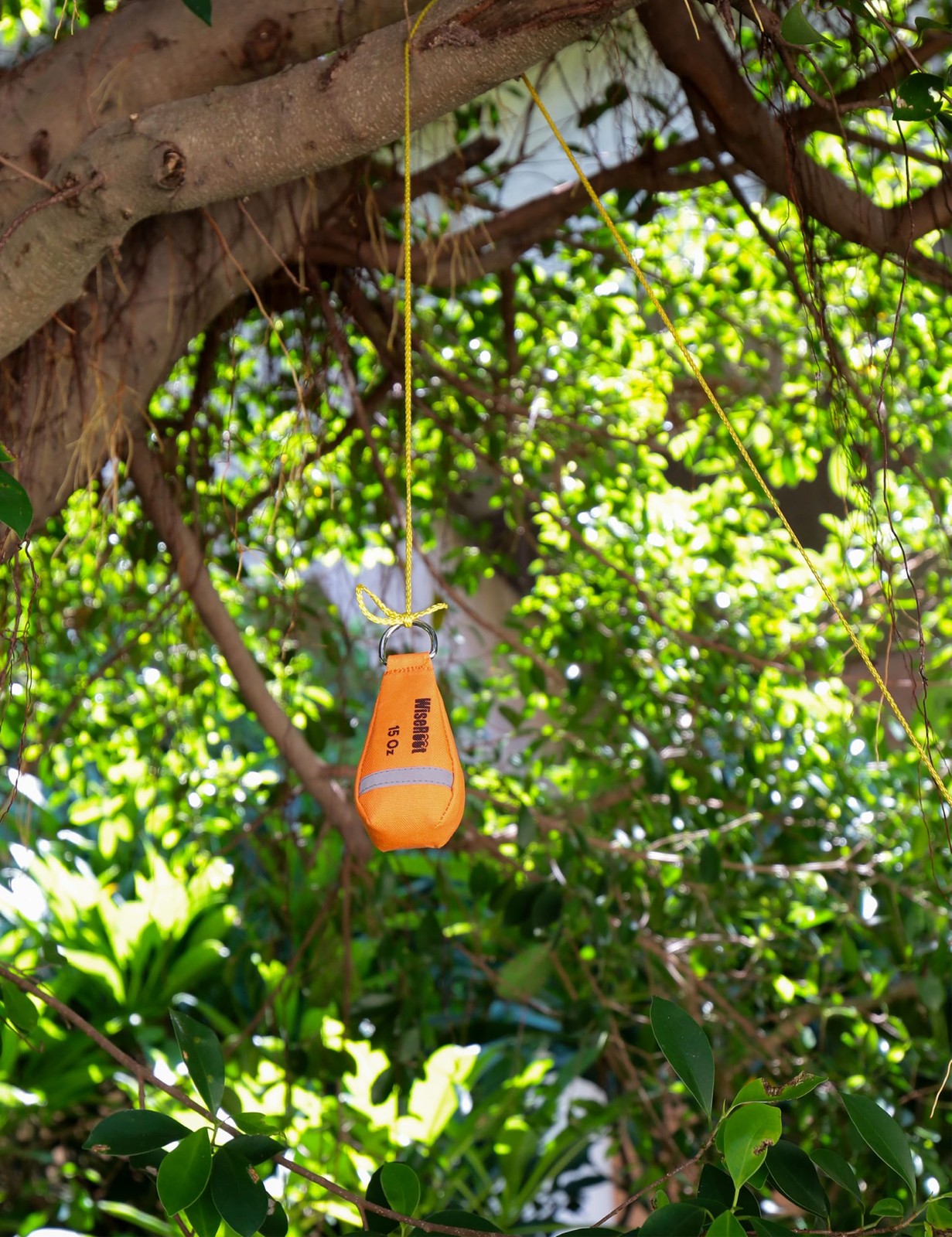 Arborist Throw Line Kit: Ultra Slick Throw Rope & 11/15Oz 900D Throw Weight with