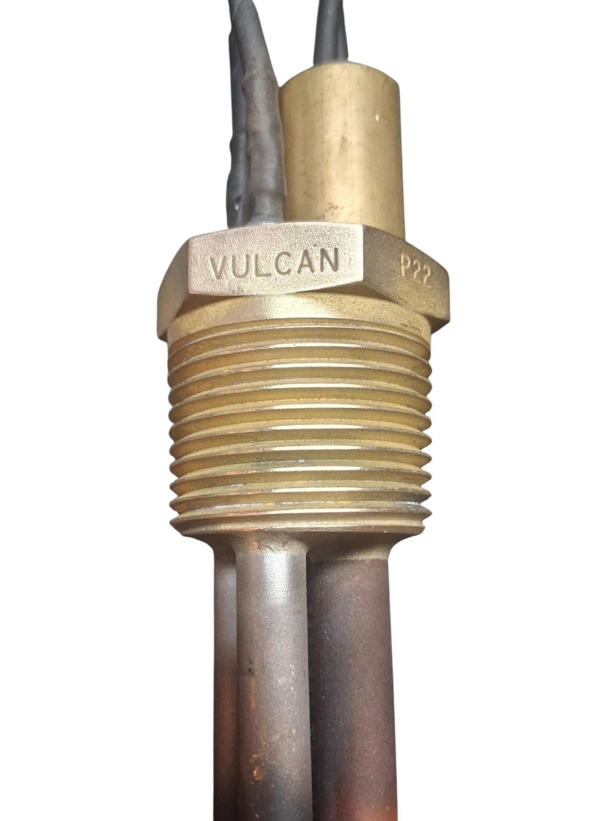 Vulcan 120V 600W Submersable Heating Element With Temp Sensor