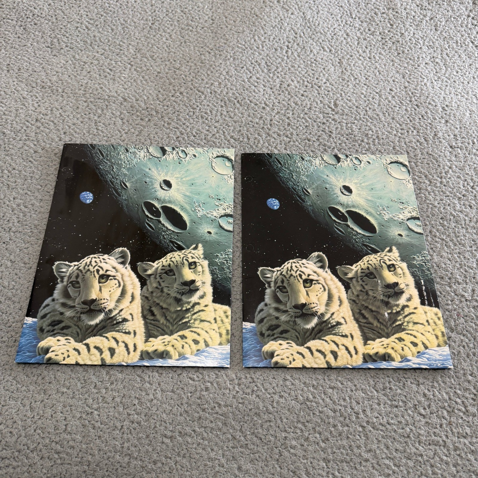 Vintage 1999 Mead Schimmel Snow Leopard Space Moon Portfolio Folders Set of 2