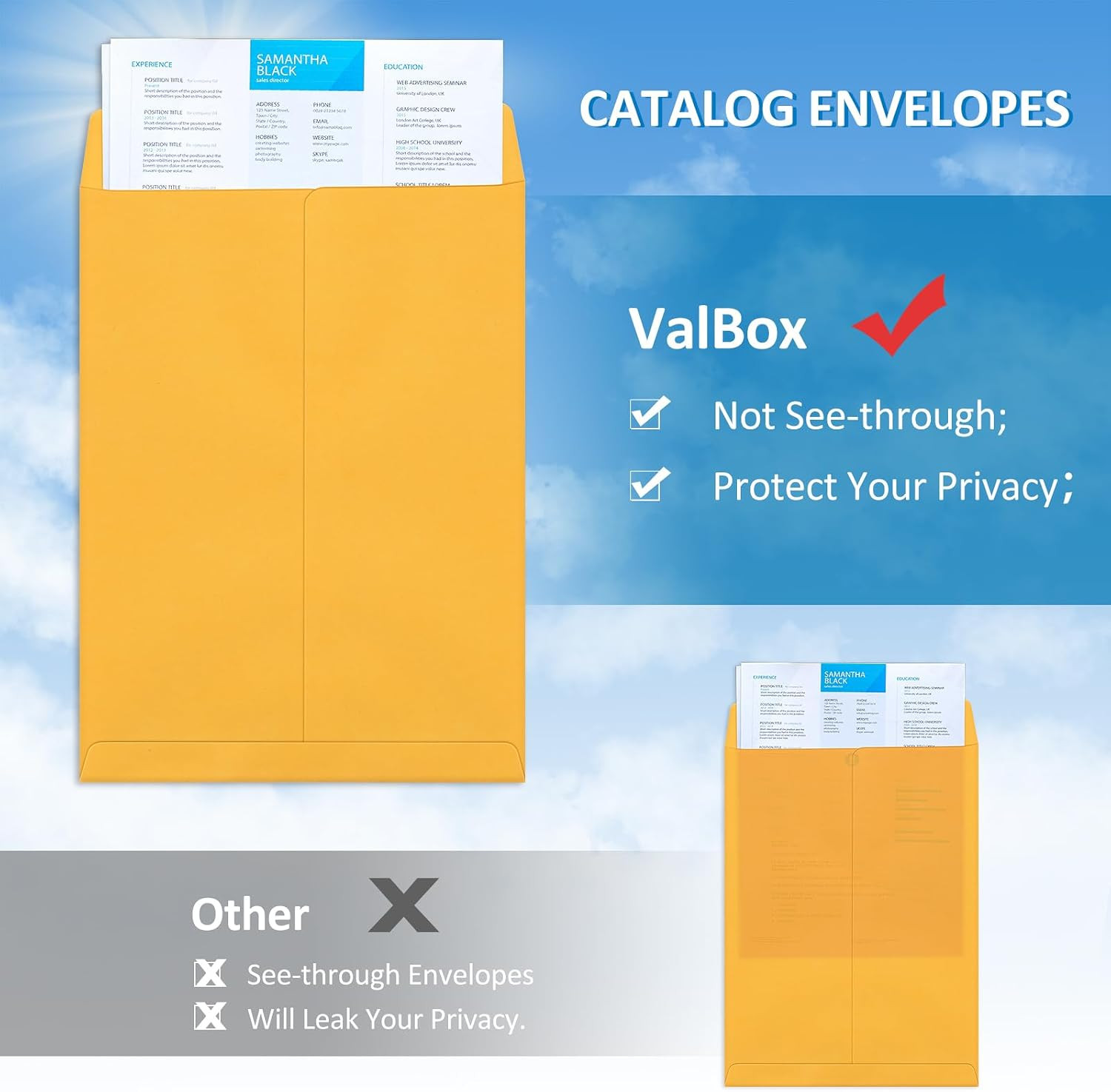 250 Count Self-Seal Brown Kraft Security Envelopes 6×9 Inches