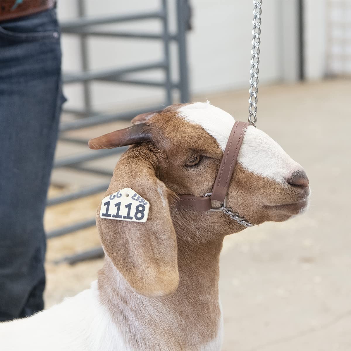 Weaver Leather Livestock Brahma Webb Goat Halter Brown Small