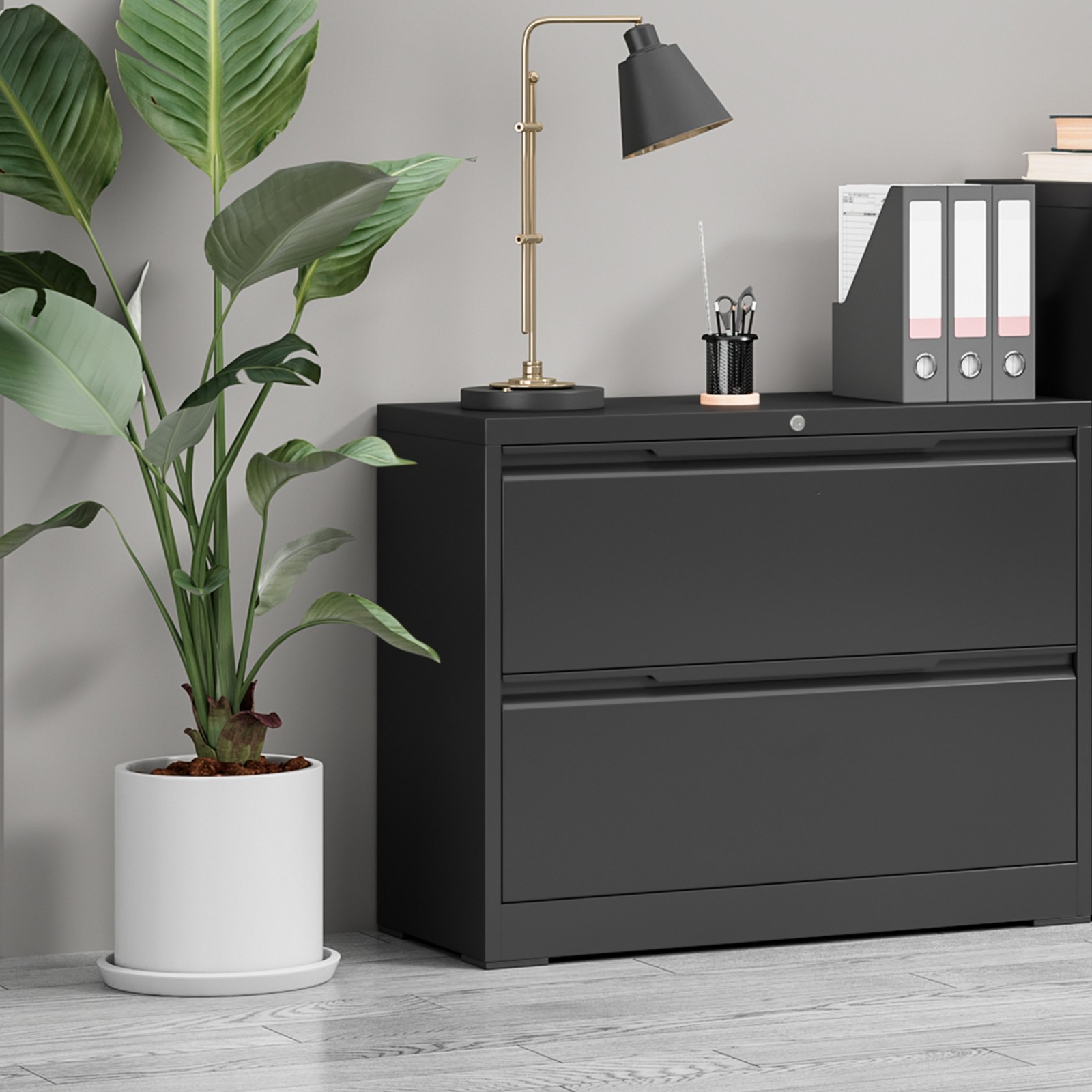 Metal Lateral Filing Cabinet with 2 Drawer Home Office Storage Cabinet Lockable