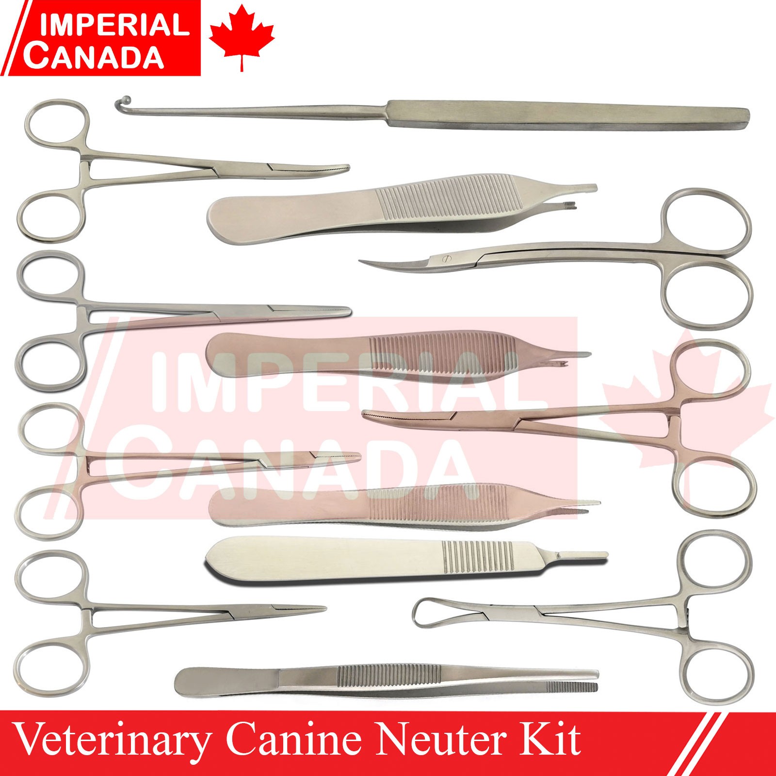 Feline Spay Pack Kit Contain Basic Surgery Instruments Set Surgical Econ DS-2240