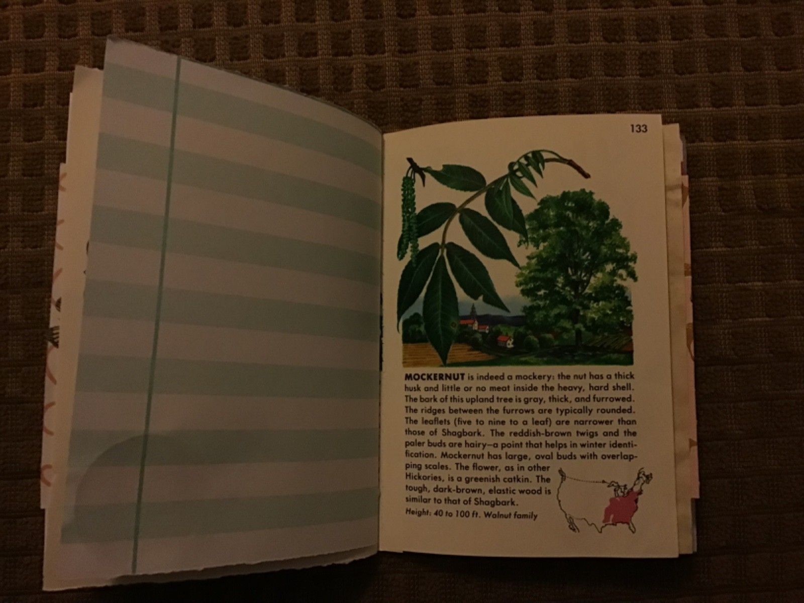 Handmade Naked Junk Journal 6” x 4.5” Mushroom Print Card Stock Cover