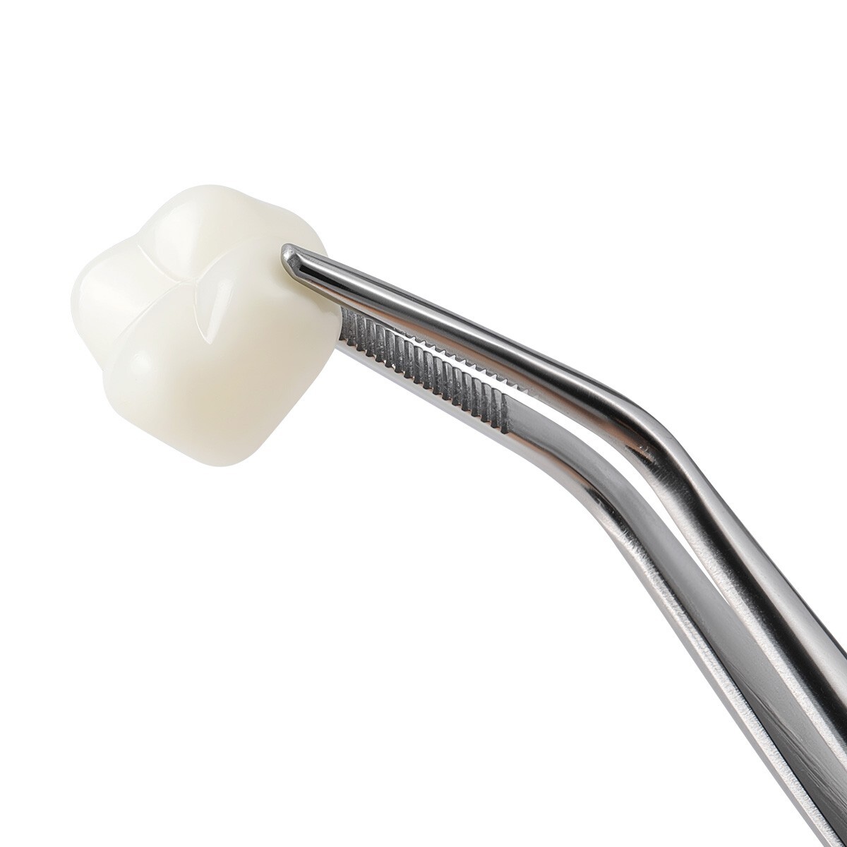 Dental Resin Anterior Dental Temporary Porcelain Crown Veneers Stable Teeth