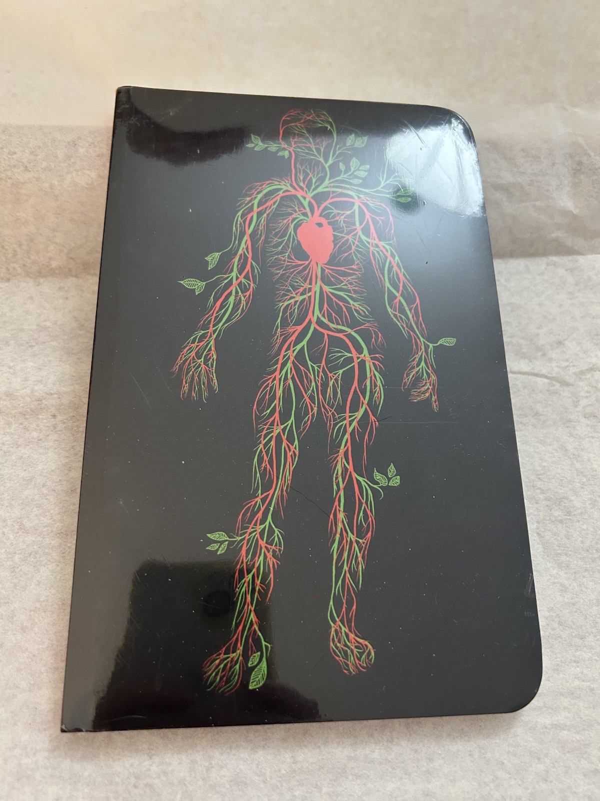 Anatomy Circulatory System Cover blank book journal, note book, copy book