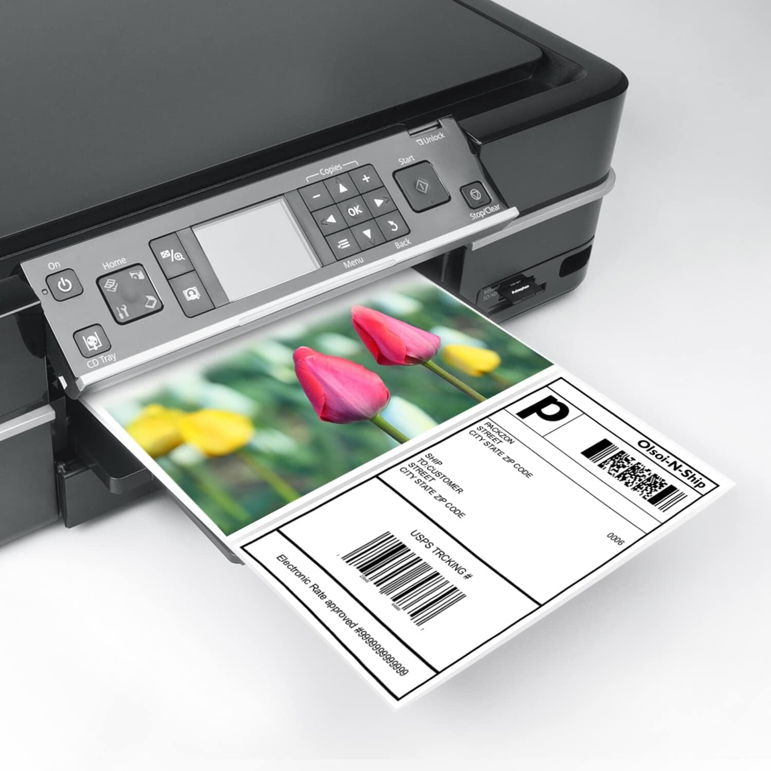 Versatile 8-1/2″×5-1/2″ Matte Labels – 200 Pack for Bulk Mailing & Organization