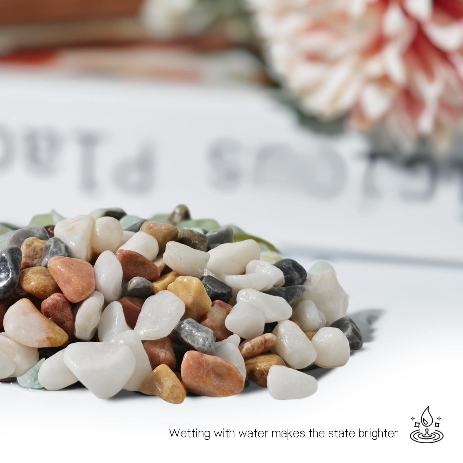3Lb Decorative Pebbles for Indoor Plants, Succulents, Aquariums, Landscaping