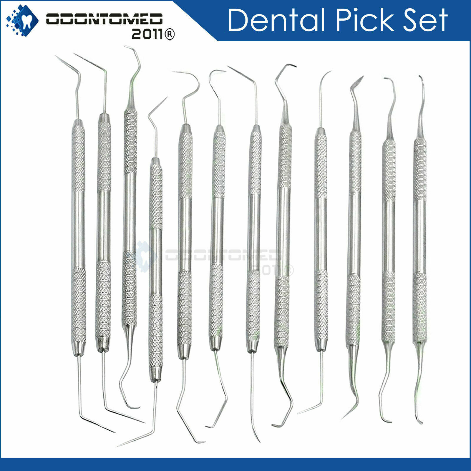 12 Piece Dental Probe Pick Tool Instrument Set Stainless Steel Scaler PR-296
